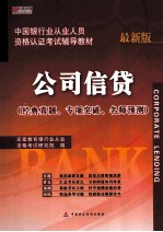 中国银行业从业人员资格认证考试辅导教材  公司信贷  最新版