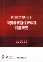 我国新消费形式下消费者权益保护法律问题研究