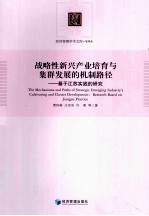 战略性新兴产业培育与集群发展的机制路径 基于江苏实践的研究