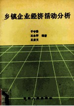 乡镇企业经济活动分析