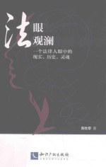 法眼观澜 一个法律人眼中的现实、历史、灵魂