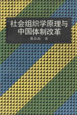 社会组织学原理与中国体制改革