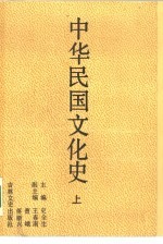 中华民国文化史 上