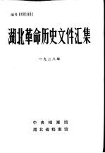 湖北革命历史文件汇编 省委文件 1928年