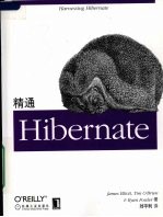 精通Hibernate