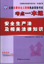 全国注册安全工程师执业资格考试考点一本通  安全生产法及相关法律知识