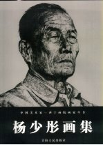 杨少彤画集