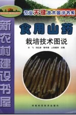 食用山药栽培技术图说