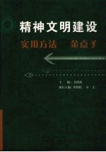 精神文明建设 实用方法和金点子