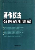 公司法分解适用集成