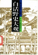 白话野史大观 上