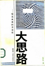 大思路 预见未来的方法论