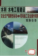 水利水电工程建设安全生产强制性标准与现场施工安全操作规程实务全书 4