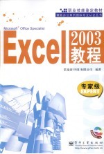 Excel 2003教程 专家级Expert