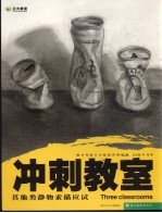 其他类素描静物应试