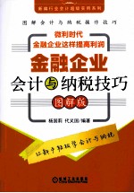 金融企业会计与纳税技巧 图解版