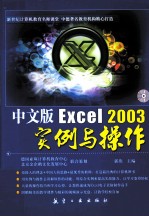 中文版Excel 2003实例与操作