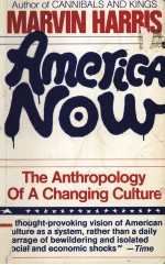 AMERICA NOW THE ANTHROPOLGY OF A CHANGING CULTURE