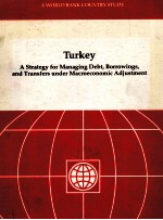 TURKEY A STRATEGY FOR MANAGING DEBT BORROWINGS AND TRANSFERS UNDER MACROECONOMIC A DJUSTMENT