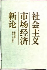 社会主义市场经济新论 《公共价值论》第2卷