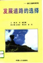 发展道路的选择 浙江温岭研究