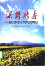 沃野融春 新时期平顶山市农村变革概览