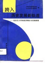 跨入历史发展新轨道 社会主义市场经济理论与实践探索