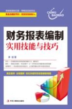 财务报表编制实用技能与技巧