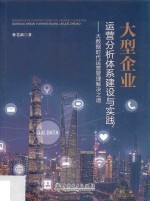 大型企业运营分析体系建设与实践  大数据时代运营管理解决之道