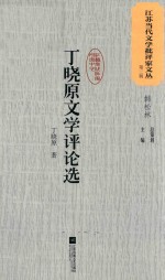 江苏当代文学批评家文丛 第2辑 丁晓原文学评论选