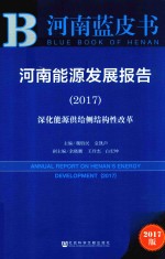 河南能源发展报告 2017 深化能源供给侧结构性改革 2017版