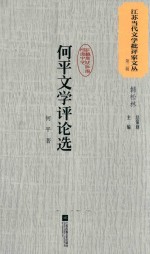 江苏当代文学批评家文丛 第2辑 何平文学评论选