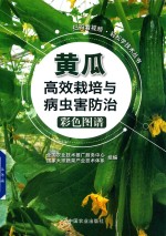 轻松学技术丛  黄瓜高效栽培与病虫害防治彩色图谱