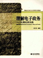理解电子政务 从理论到实践