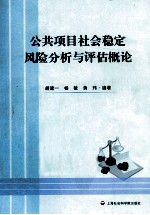 公共项目社会稳定风险分析与评估概论