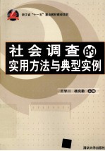 社会调查的实用方法与典型实例