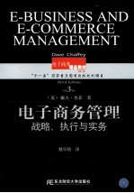 电子商务管理 战略、执行与实务 第3版