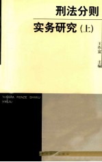 刑法分则实务研究 上