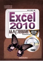 Excel 2010从入门到精通 超值案例版