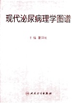 现代泌尿病理学图谱