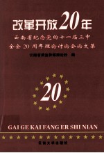 改革开放20年 云南省纪念党的十一届三中全会二十周年理论讨论会论文集