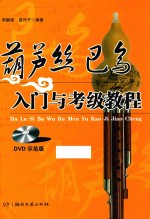 葫芦丝巴乌入门与考级教程 DVD版