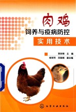 肉鸡饲养与疫病防控实用技术