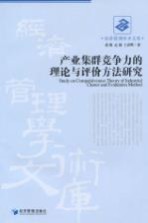 产业集群竞争力的理论与评价方法研究