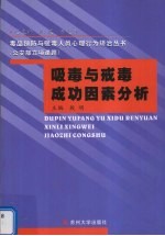 吸毒与戒毒成功因素分析 共5册