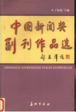 中国新闻奖副刊作品选