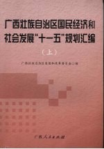 广西壮族自治区国民经济和社会发展“十一五”规划汇编 上