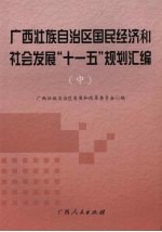 广西壮族自治区国民经济和社会发展“十一五”规划汇编 中