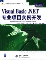 Visual Basic .NET专业项目实例开发