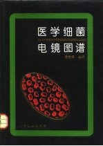 医学细菌电镜图谱